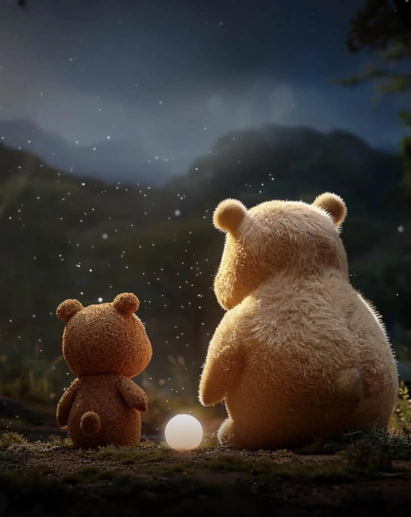 Dos ositos de peluche mirando las estrellas